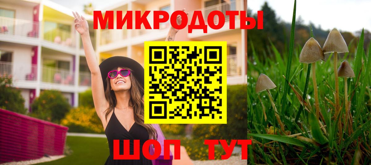 Галлюциногенные грибы Psilocybe  Вход с VPN  Мариинск  цена наркотик  Псилоцибиновые грибы мухоморы 